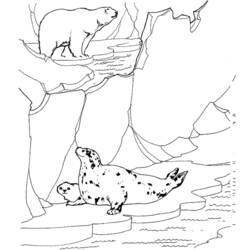 Coloriage Ours polaire et phoques sur les rochers de glace