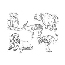 Coloriage Animaux du zoo avec koala, rhinocéros et lion