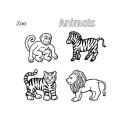 Coloriage Animaux du zoo : singe, zèbre, tigre et lion
