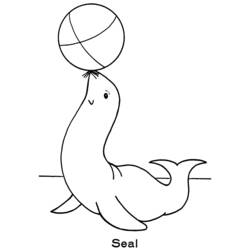 Coloriage Phoque jonglant avec un ballon