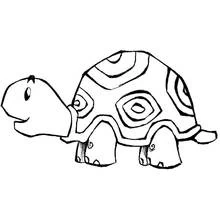 Coloriage Tortue avec une carapace à motifs