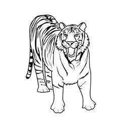 Coloriage Tigre debout en train de rugir
