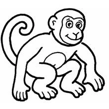 Coloriage Singe accroupi à la queue enroulée