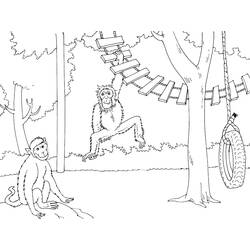 Coloriage Zoo singes jouant sur un pont de corde