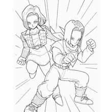 Coloriage C17 et C18 en position de combat