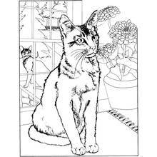 Page de coloriage Mangas (Animé et Manga) #42615, gratuite à imprimer