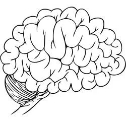 Coloriage Cerveau Humain #185390 à imprimer et colorier