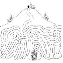 Coloriage Labyrinthe des fourmis vers la reine