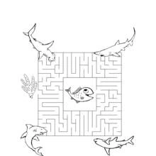 Coloriage Labyrinthe de requins avec un poisson au centre