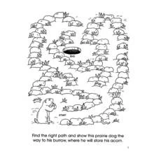 Coloriage Labyrinthe du chien de prairie vers son terrier