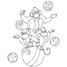 Coloriage Acrobate singes en équilibre sur une balle