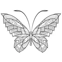Coloriage Papillon adulte aux ailes ornées de motifs symétriques