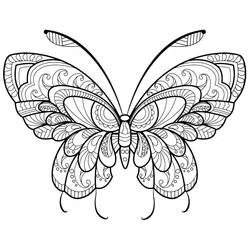 Coloriage Papillon Adulte aux ailes ornementales symétriques