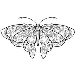 Coloriage Papillon Adulte aux ailes symétriques