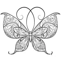 Coloriage Papillon Adulte aux motifs d'ailes symétriques