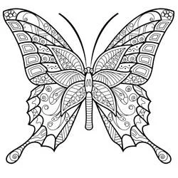 Coloriage Papillon Adulte aux motifs symétriques sur les ailes