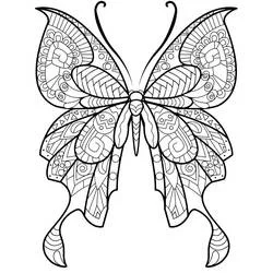Coloriage Papillon Adulte aux motifs complexes