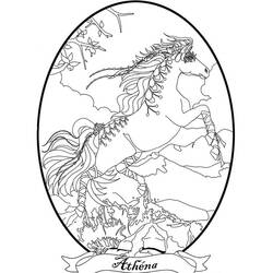 Coloriage Bella Sara cheval Athéna cabré dans un cadre ovale