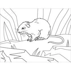Coloriage Le Rat dans un paysage désertique