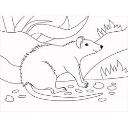 Coloriage Rat assis parmi l'herbe et les pierres