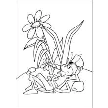Coloriage Sauterelle allongée près d'une fleur