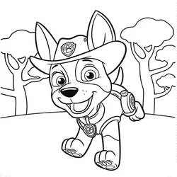 Coloriage Pat'Patrouille Tracker en action