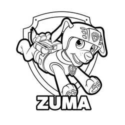 Coloriage Zuma dans Pat'Patrouille en action