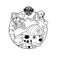 Coloriage Pat'Patrouille : Stella, Rocky et Ruben en pleine action