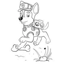 Coloriage Chase en marche avec son équipement de policier