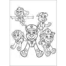 Coloriage Pat'Patrouille tous les héros réunis