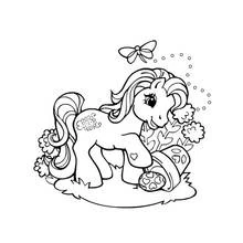 Coloriage Petit Poney se promenant près des fleurs