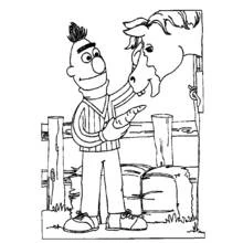 Coloriage Bert donnant une carotte à un cheval