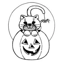 Coloriage Chat assis dans une citrouille d'Halloween
