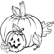 Coloriage Deux citrouilles avec des feuilles d'automne Coloriage Deux citrouilles avec des feuilles d'automne