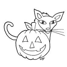 Coloriage Chat derrière une citrouille d'Halloween souriante Coloriage Chat derrière une citrouille d'Halloween souriante