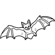 Coloriage Chauve-souris souriante aux nervures d'ailes fines Coloriage Chauve-souris souriante aux nervures d'ailes fines