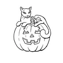 Coloriage Chat assis sur une citrouille d'Halloween