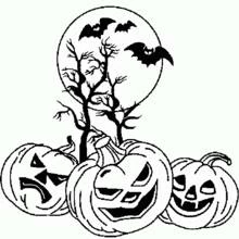 Coloriage Citrouilles d'Halloween sous une pleine lune avec des chauves-souris