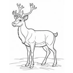 Coloriage Renne de Noël debout de profil