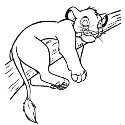 Coloriage Simba étendu sur une branche, menton posé