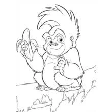 Coloriage Terk mangeant une banane sur une branche