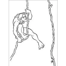 Coloriage Tarzan suspendu à une liane