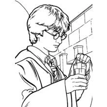 Coloriage Harry Potter examinant une fiole de potion