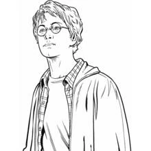 Coloriage Harry Potter en chemise à carreaux et veste