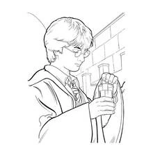 Coloriage Harry Potter prépare une potion magique