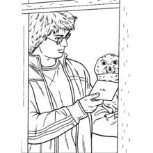 Coloriage Harry Potter lisant une lettre de son hibou