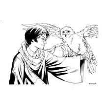 Coloriage Harry Potter avec Hedwige perchée sur son bras