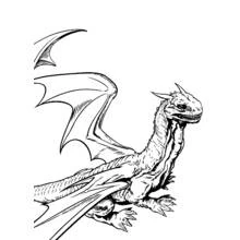 Coloriage Dragon aux ailes déployées de Harry Potter