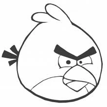 Coloriage Yellow Angry Bird au regard furieux