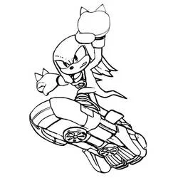 Coloriage Knuckles sur un kart de course